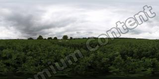 High Resolution Panorama Texture 0001